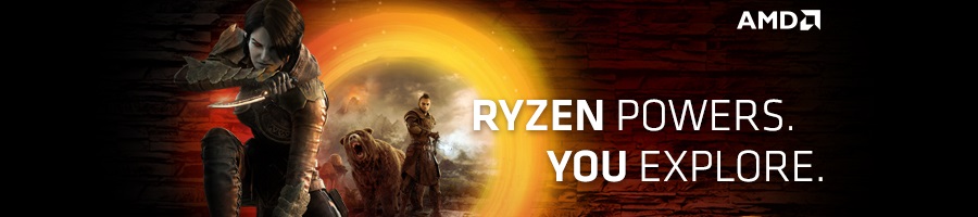 ryzer